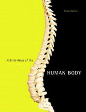 Load image into Gallery viewer, A Brief Atlas of the Human Body - NJExpat
