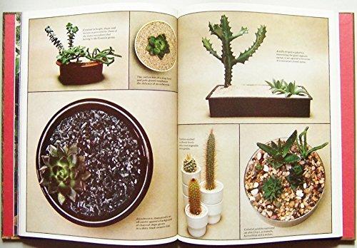 encyclopedia of house plants Foliage House Plants