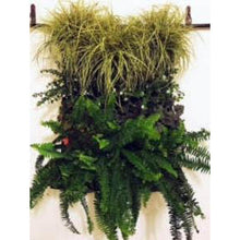 Load image into Gallery viewer, 12 Pocket Outdoor Vertical Living Wall Planter, Free shipping - NJExpat