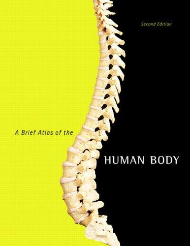 A Brief Atlas of the Human Body - NJExpat