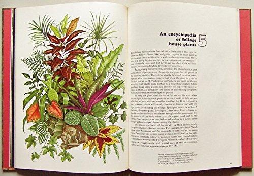 encyclopedia of house plants Foliage House Plants