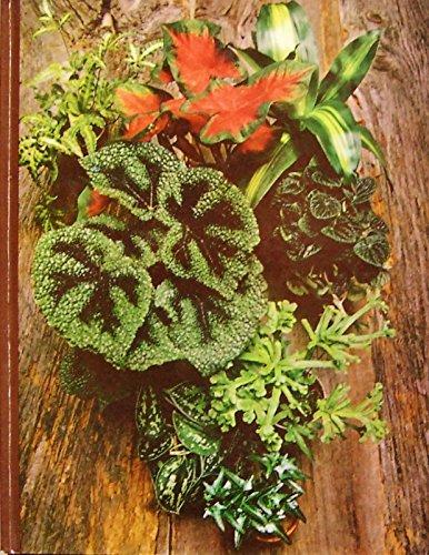 the encyclopedia of house plants Foliage House Plants