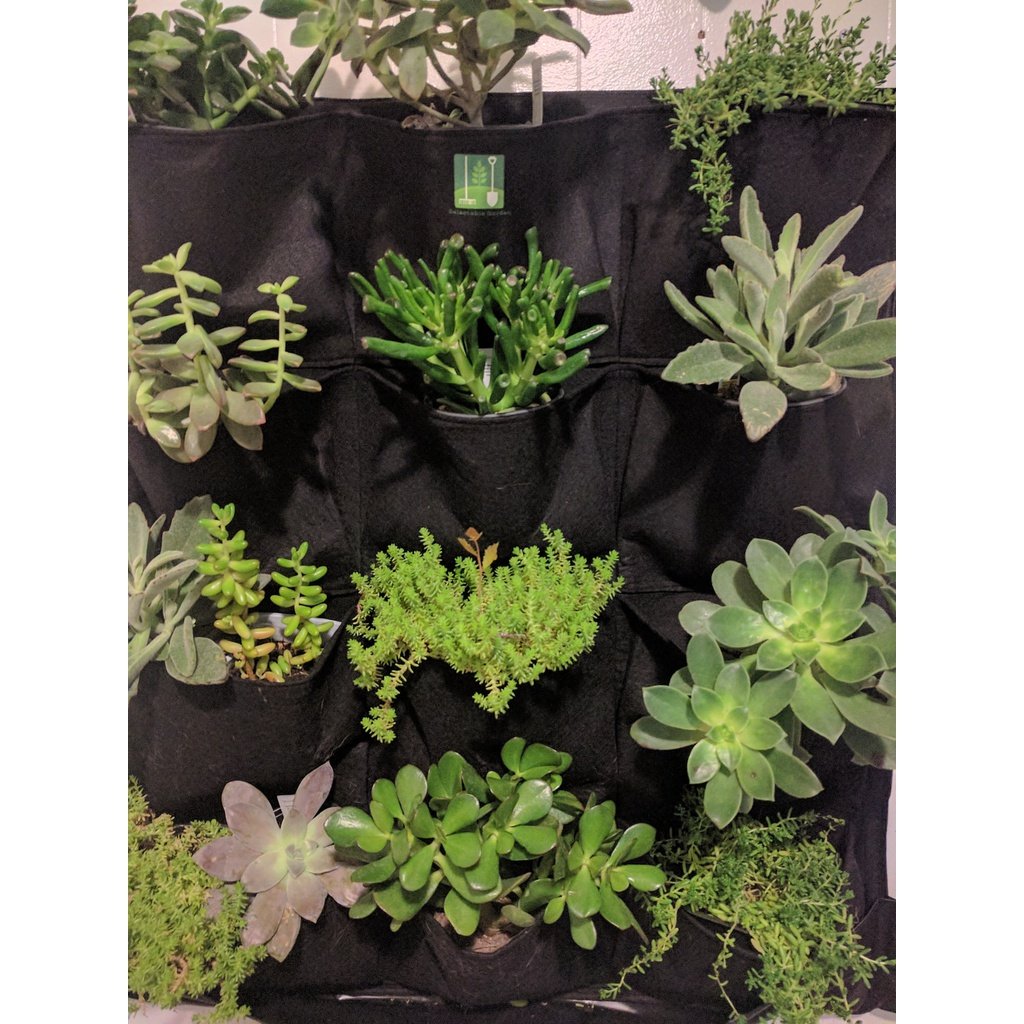 12 pocket indoor waterproof vertical living wall planter 12 Pocket Outdoor Vertical Living Wall Planter, Free shipping – NJExpat